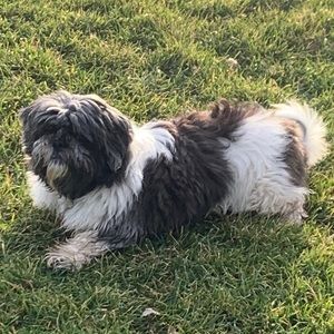 Meet your Posher, Claudia